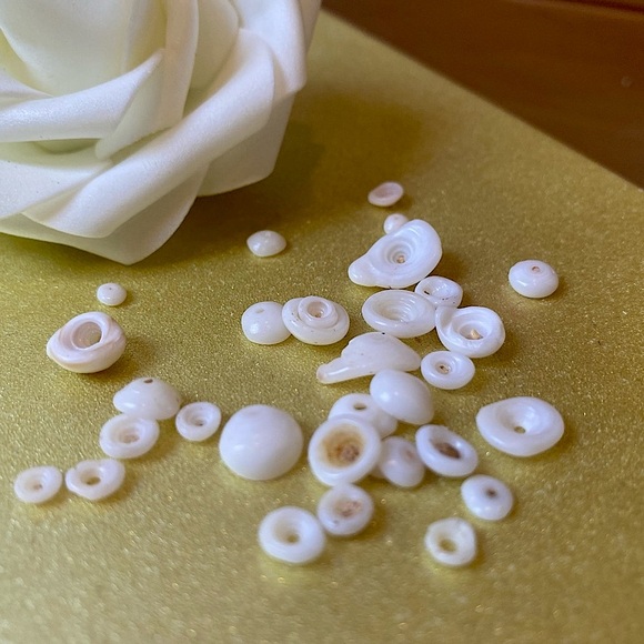 🐚🐚 Puka Shells from Maui. *authentic - Picture 3 of 4